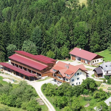 Ferienwohnungen Bauernhof Schilcher Sankt Stefan im Lavanttal Dış mekan fotoğraf
