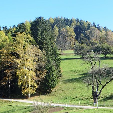 Ferienwohnungen Bauernhof Schilcher Sankt Stefan im Lavanttal Dış mekan fotoğraf