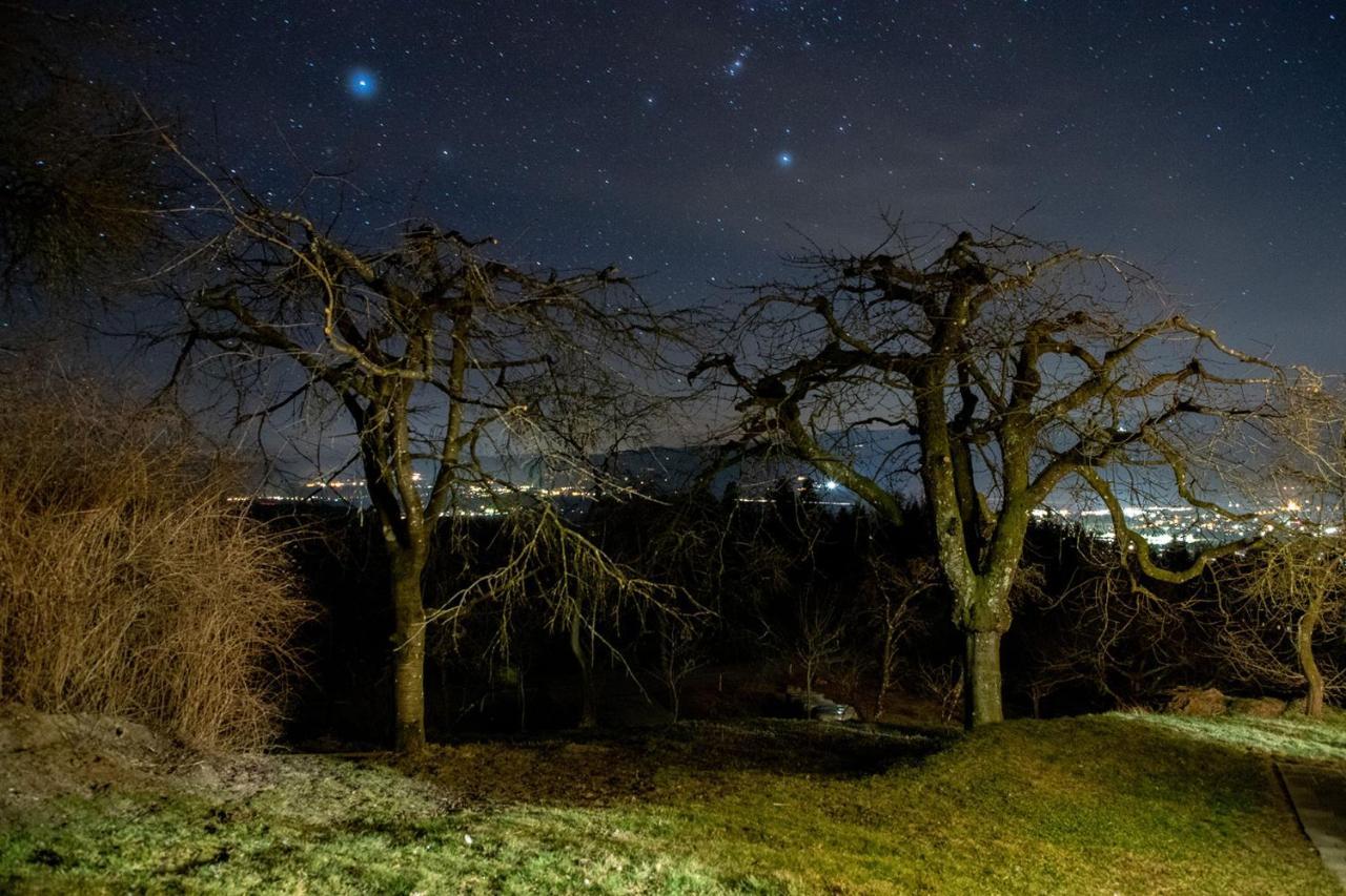 Ferienwohnungen Bauernhof Schilcher Sankt Stefan im Lavanttal Dış mekan fotoğraf