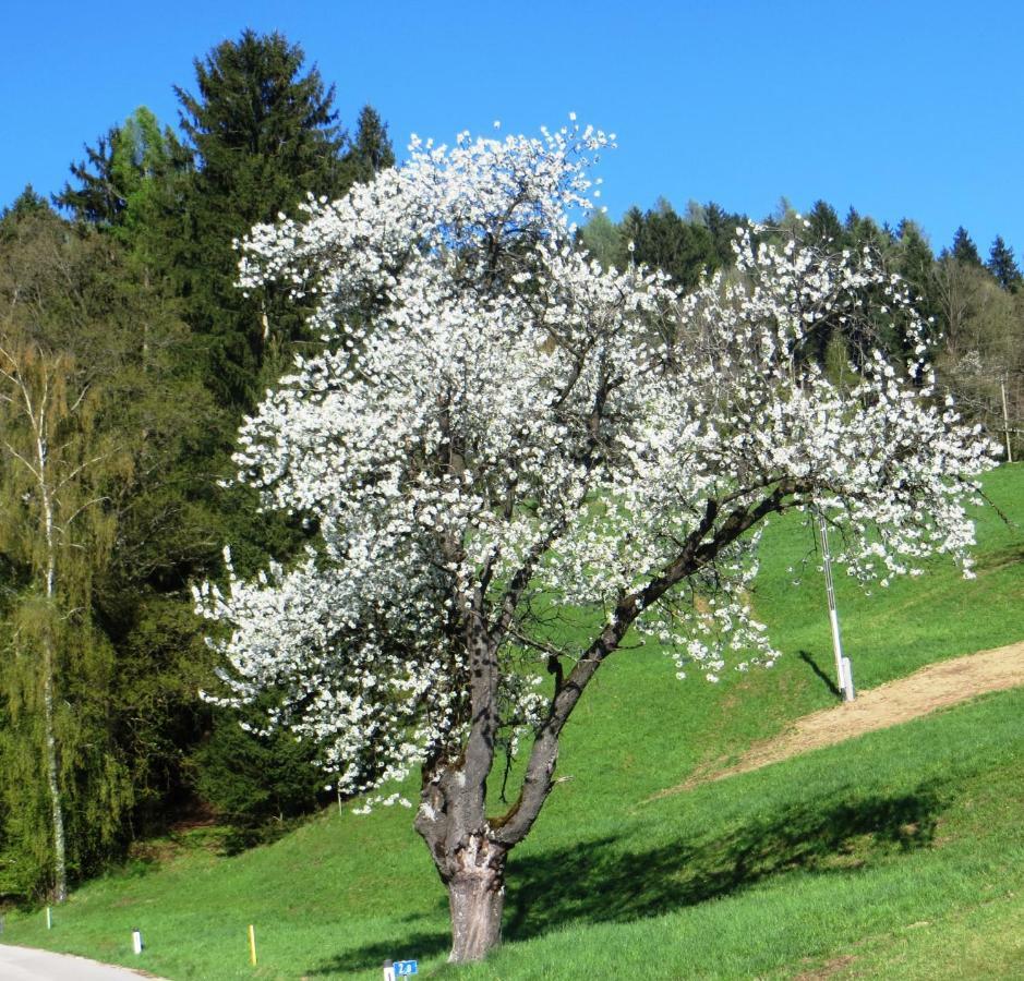 Ferienwohnungen Bauernhof Schilcher Sankt Stefan im Lavanttal Dış mekan fotoğraf